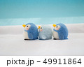 ペンギン親子 49911864