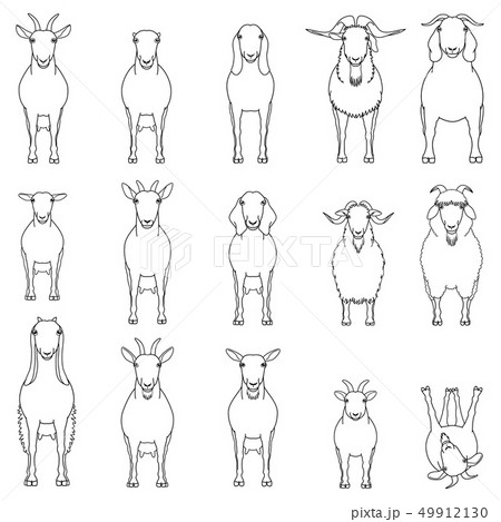 ヤギの種類　全身　線画 49912130