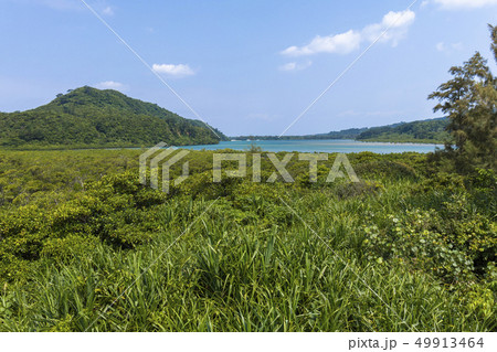 西表島の風景　 49913464