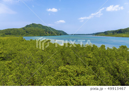 西表島の風景　 49913467