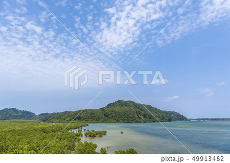 西表島の風景　 49913482