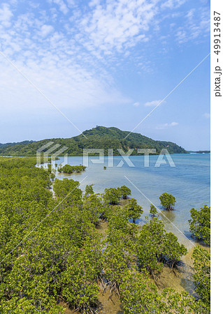 西表島の風景　 49913487