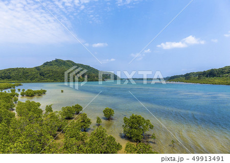 西表島の風景　 49913491