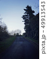 green trees and road in the forest 49913543