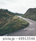 green trees and road in the forest 49913546