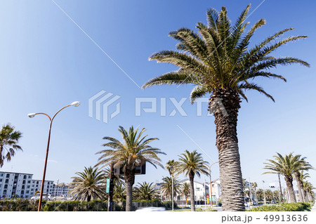 馬堀海岸 馬堀海岸 49913636