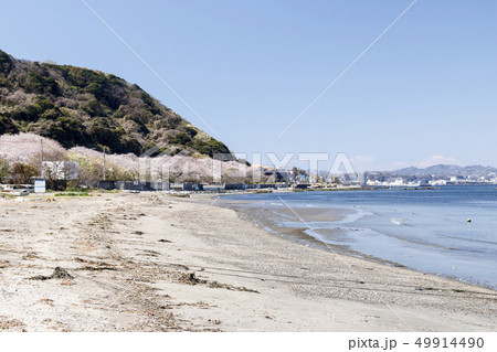 走水海岸 走水海岸 49914490