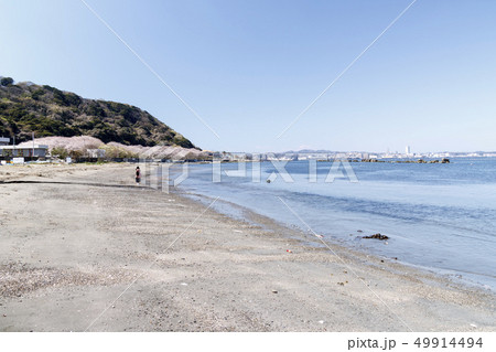 走水海岸 走水海岸 49914494