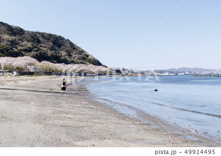 走水海岸 走水海岸 49914495