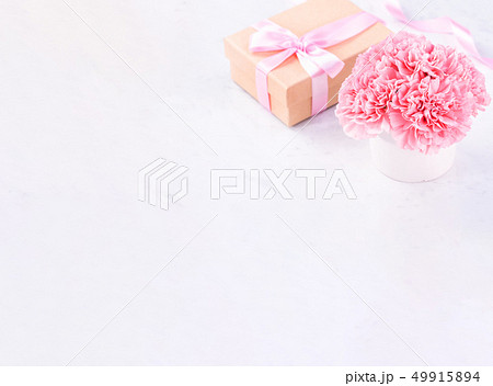 花 フラワー お花 49915894