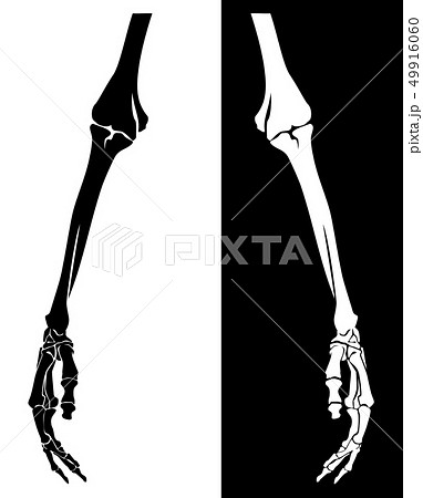 Human Skeleton Hand Black Vector Designのイラスト素材