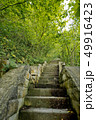 Stone stairs in the forest. 49916423
