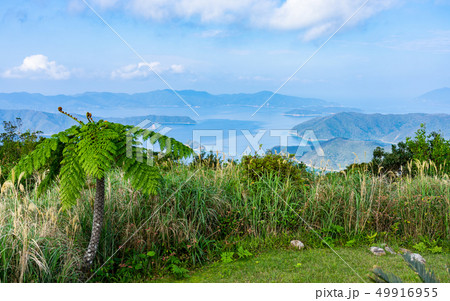 奄美大島・油井岳展望台からの風景 奄美大島・油井岳展望台からの風景 49916955