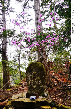 御岳山　鉄五郎新道　金比羅神社の祠 49917386