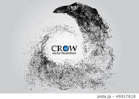 Silhouette of a crow from particles. 49917618