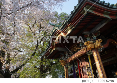 日本　王子稲荷神社の風景 49918290