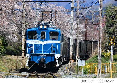 秩父鉄道貨物列車　上長瀞駅周辺（桜） 49918477