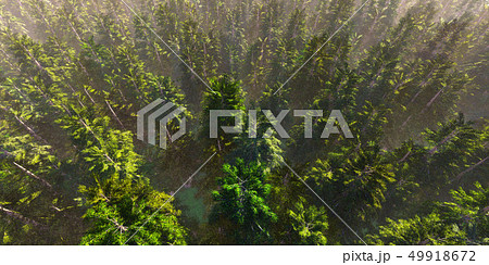 背景 バックグラウンド バックグランド 49918672