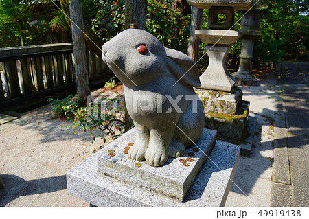 岡崎神社の狛うさぎ（京都） 49919438