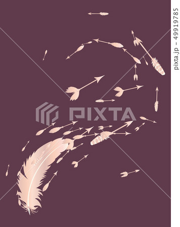 Rose gold Feather and Arrows Rose gold Feather and Arrows 49919785