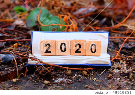 2020年 2020年 49919851