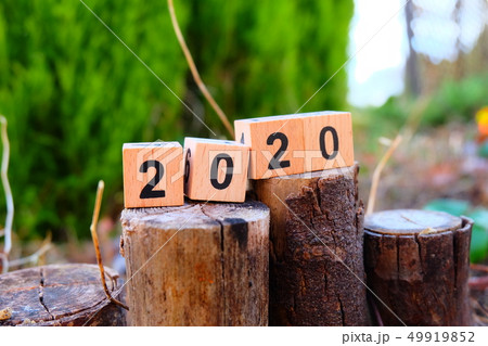2020年 2020年 49919852