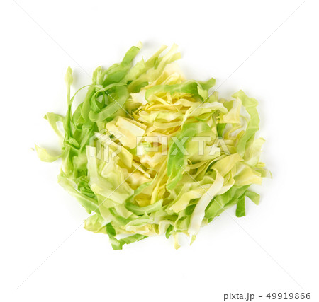 green cabbage on white 49919866
