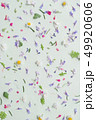 小花柄の背景 49920606