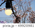春 花 空 49920981
