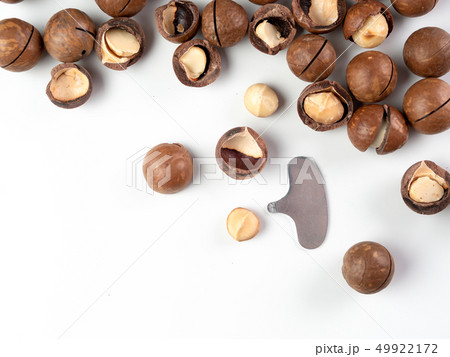 Set macadamia nuts isolated 49922172