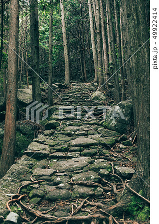 熊野古道　松本峠 49922414