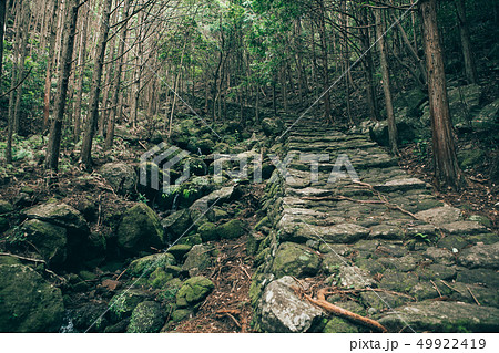 熊野古道 松本峠 熊野古道 松本峠 49922419