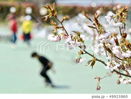 　お花見はスケボーに乗って 49923860