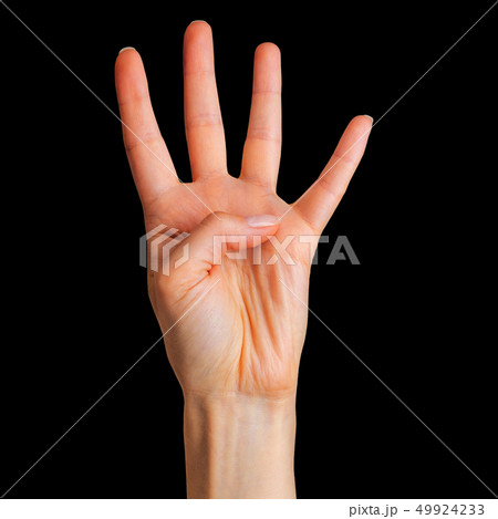 Female hand showing four fingers and palm Female hand showing four fingers and palm 49924233