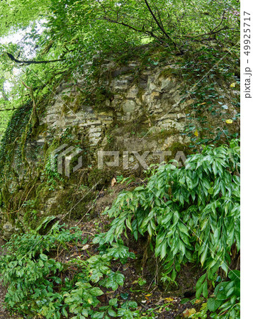 Rock, overgrown with moss on a green mountain 49925717