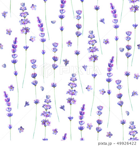 Lavender flowers watercolor seamless pattern Lavender flowers watercolor seamless pattern 49926422