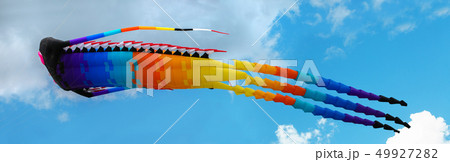 dragon kite 49927282