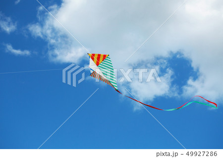Flying kite 49927286