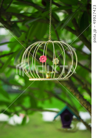 Decorative cage 49927423