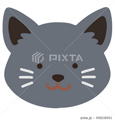 ロシアンブルーの手描きのイラスト アウトラインなし ロシアンブルーの手描きのイラスト アウトラインなし 49928091