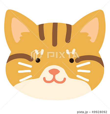 茶トラの手描きのイラスト　アウトラインなし 49928092