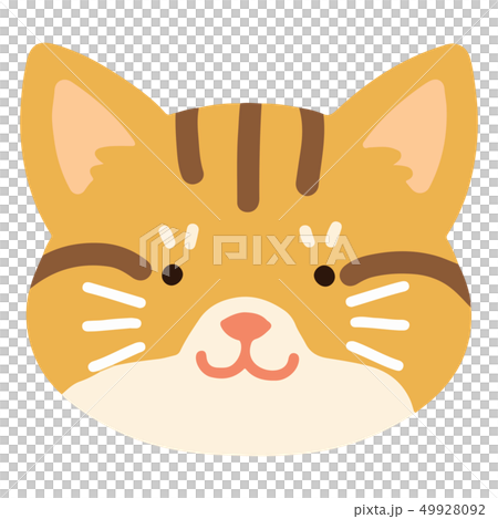 茶トラの手描きのイラスト　アウトラインなし 49928092