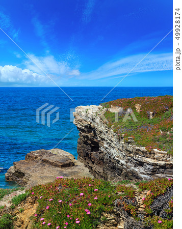 Summer blossoming Atlantic coast (Galicia). 49928174