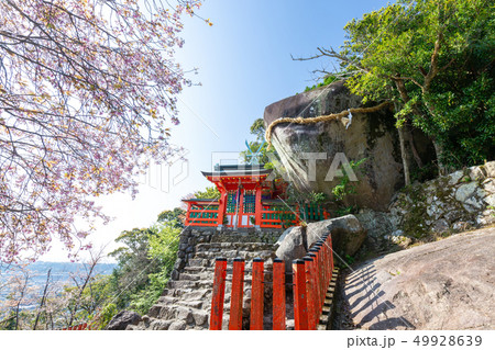 春の神倉神社 春の神倉神社 49928639