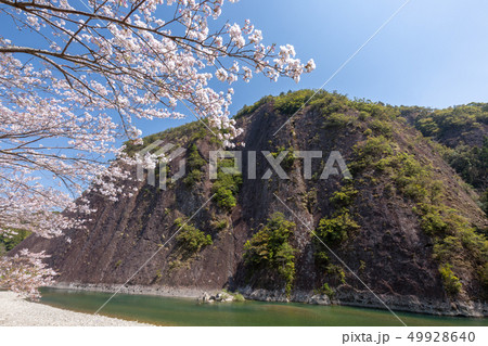 春の古座川一枚岩 49928640