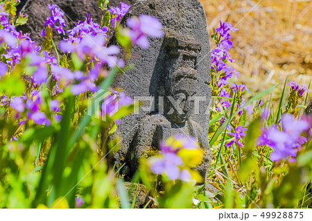 花と石仏 花と石仏 49928875
