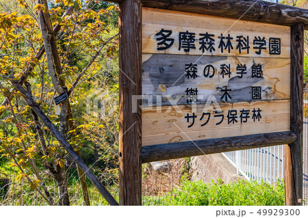サクラ保存林施設 サクラ保存林施設 49929300