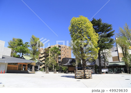 亀有香取神社　東京都葛飾区亀有 49929630