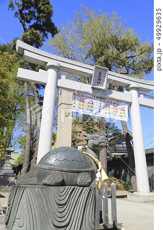 亀有香取神社 東京都葛飾区亀有 亀有香取神社 東京都葛飾区亀有 49929635