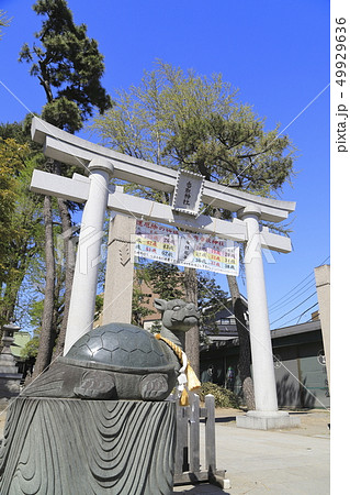 亀有香取神社　東京都葛飾区亀有 49929636